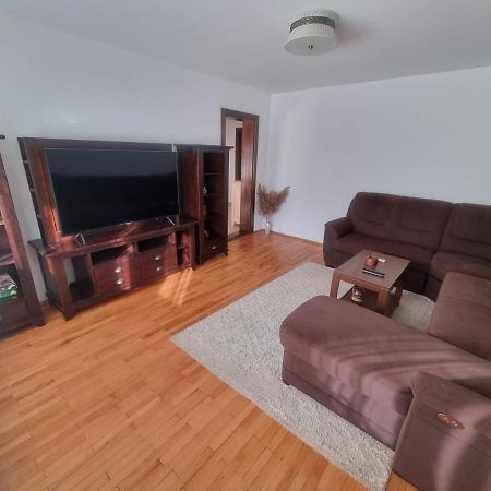 Clasic Apartment Nufarul 拉迪亚 外观 照片