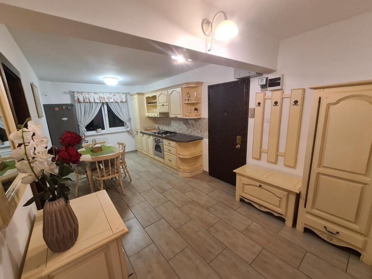 Clasic Apartment Nufarul 拉迪亚 外观 照片