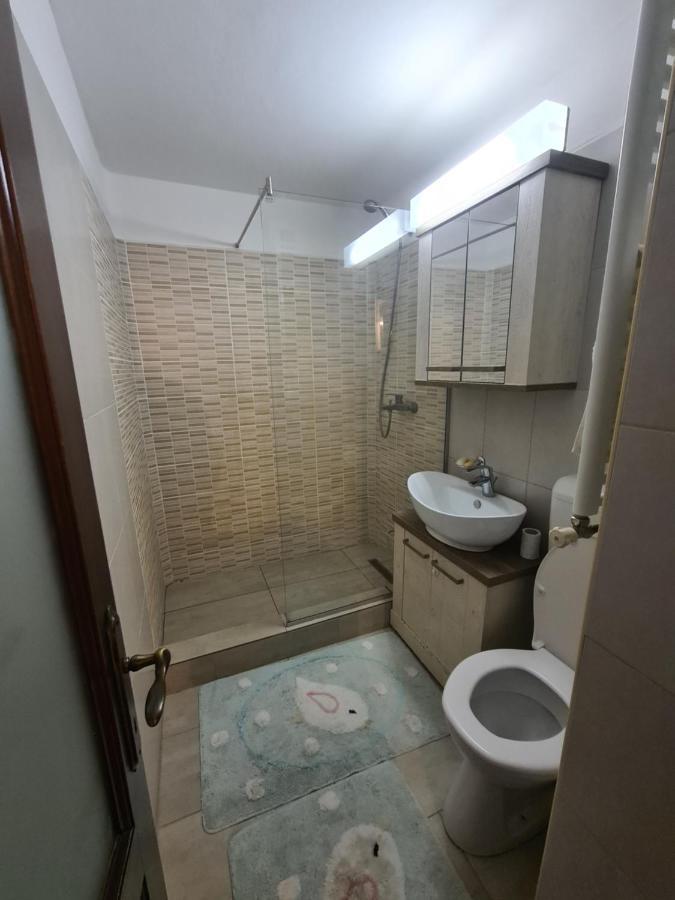 Clasic Apartment Nufarul 拉迪亚 外观 照片