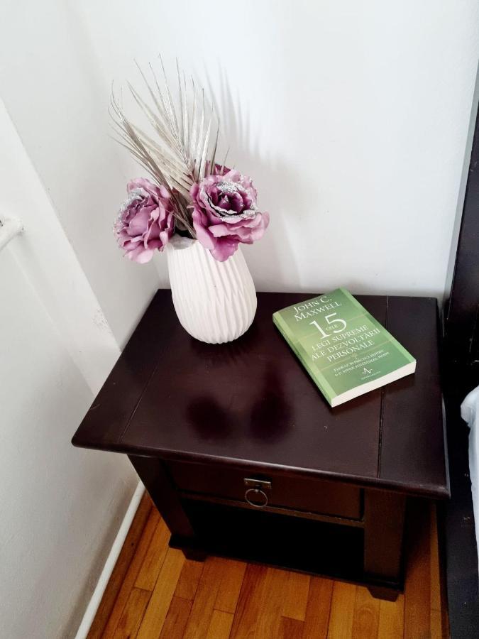 Clasic Apartment Nufarul 拉迪亚 外观 照片